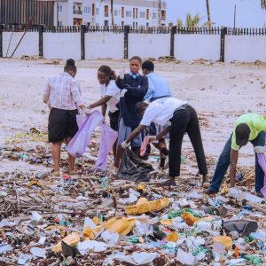 207daf9e-68b6-4e8e-89c1-b886ece7f6cf