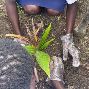 bc528bee-7923-4492-a943-a4b125fbd840